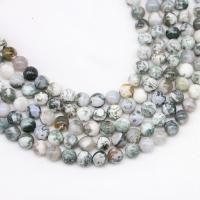 Tree Agate perler, Runde, poleret, du kan DIY, blandede farver, Solgt Per 15 inch Strand