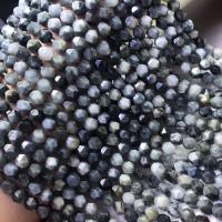 Pietra Hawk-eye perla, Cerchio, lucido, Faccia a taglio stellare & DIY, nero, 6mm, Venduto per 39 cm filo