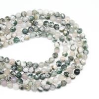 Tree ahat perle, Tree Agate, Krug, možete DIY & različite veličine za izbor, miješana boja, Prodano Per 38 cm Strand