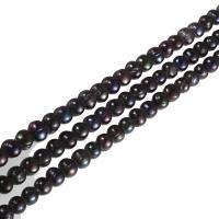 Brambor pěstované sladkovodní perle, Sladkovodní Pearl, s troll, černý, 10-11mm, Otvor:Cca 2.5mm, Prodáno za 15 inch Strand