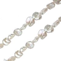 Coin odlad sötvattenspärla pärlor, Freshwater Pearl, naturlig, vit, 12-14mm, Hål:Ca 0.8mm, Såld Per Ca 15.5 inch Strand