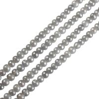 Brambor pěstované sladkovodní perle, Sladkovodní Pearl, stříbro, 6-7mm, Prodáno za Cca 14.3 inch Strand