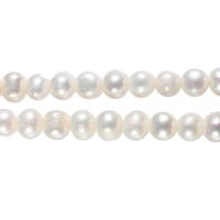 Bulvių išauginti gėlavandenių perlų karoliukai, Gėlo vandens perlų, Bulvė, natūralus, baltas, 11-12mm, Skylė:Apytiksliai 0.8mm, Parduota už Apytiksliai 15.7 Inch Strand
