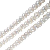 Bulvių išauginti gėlavandenių perlų karoliukai, Gėlo vandens perlų, Bulvė, natūralus, baltas, 12-15mm, Skylė:Apytiksliai 0.8mm, Parduota už Apytiksliai 15.7 Inch Strand