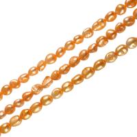 Baroko Kultūringas gėlavandenių perlų karoliukai, Gėlo vandens perlų, Barokas, oranžinis, 7-8mm, Skylė:Apytiksliai 0.8mm, Parduota už Apytiksliai 14.5 Inch Strand