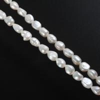 Bulvių išauginti gėlavandenių perlų karoliukai, Gėlo vandens perlų, Bulvė, natūralus, baltas, Įvertinimas, 11-12mm, Skylė:Apytiksliai 0.8mm, Parduota už 14.5 Inch Strand