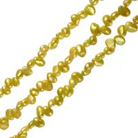 Barok Gekweekte Zoetwater Parel kralen, top geboord, geel, 8-9mm, Gat:Ca 0.8mm, Per verkocht Ca 14 inch Strand