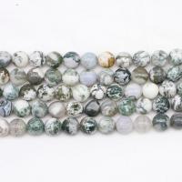 Tree Agate perler, poleret, Naturligt & du kan DIY & forskellig størrelse for valg, Solgt Per 14.96 inch Strand