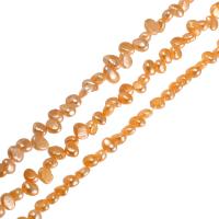 Baroko Kultūringas gėlavandenių perlų karoliukai, Gėlo vandens perlų, Barokas, viršų gręžti, oranžinis, 8-9mm, Skylė:Apytiksliai 0.8mm, Parduota už Apytiksliai 14.5 Inch Strand