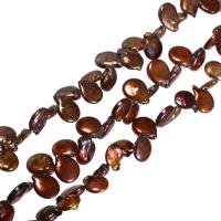 Keishi kultivované sladkovodní perle, Sladkovodní Pearl, Mince, káva barva, 12-14mm, Otvor:Cca 0.8mm, Délka Cca 14.5 inch, Prodáno By KG