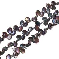 Keishi kultivované sladkovodní perle, Sladkovodní Pearl, Mince, tmavě fialová, 13-14mm, Otvor:Cca 0.8mm, Délka Cca 15.7 inch, Prodáno By KG