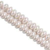 Muschelkern Perle, DIY, weiß, verkauft per 38 cm Strang