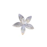 Weiße Muschel Perlkappen, Blume, weiß, 17mm, verkauft von PC