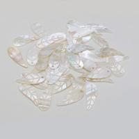 Μενταγιόν Shell, Γλυκού νερού Shell, Φύλλο, DIY, λευκό, 12x35mm, Sold Με PC