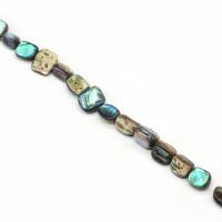 Abalone Shell perle, možete DIY, miješana boja, 10mm, 38računala/Strand, Prodano By Strand