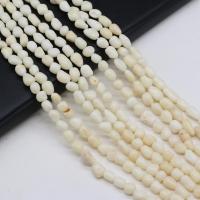 Natural Coral Beads irregular DIY white 6x7- Sold Per Approx 38 cm Strand