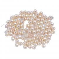 Natural Freshwater Pearl Loose Beads Round DIY white Sold By PC