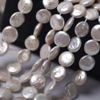 Coin ferskvandskulturperle Beads, Ferskvandsperle, Runde, du kan DIY, hvid, 10-11mm, Solgt Per 38 cm Strand