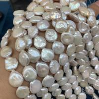 Coin odlad sötvattenspärla pärlor, Freshwater Pearl, DIY, vit, 13-15mm, Såld Per 38 cm Strand