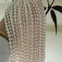 Ris odlad sötvattenspärla pärlor, Freshwater Pearl, Naturligt & DIY & olika storlek för val, vit, Såld Per 14.17 inch Strand