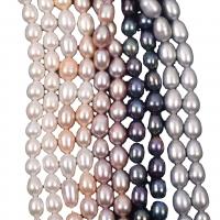 Riso coltivato in perla d'acqua dolce, perla d'acquadolce coltivata naturalmente, DIY, nessuno, 7-8mm, Venduto per 36-38 cm filo