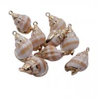 Natürliche Seemuschel Anhänger, Trompete Muschel, mit Messing, plattiert, gemischte Farben, 10mm, 10PCs/Tasche, verkauft von Tasche
