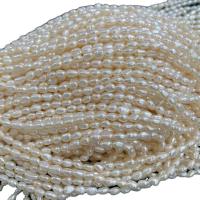 Riso coltivato in perla d'acqua dolce, perla d'acquadolce coltivata naturalmente, DIY, bianco, 4mm, Venduto per 38 cm filo