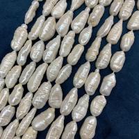 Biwa kultivované sladkovodní perle, Sladkovodní Pearl, DIY, bílý, 12-14mm, Prodáno za 38 cm Strand