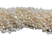 Mygtukas Kultūringas gėlavandenių perlų karoliukai, Gėlo vandens perlų, Pasidaryk pats, baltas, Parduota už 38 cm Strand