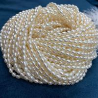 Riso coltivato in perla d'acqua dolce, perla d'acquadolce coltivata naturalmente, DIY, bianco, 3.5-4mm, Venduto per 38 cm filo