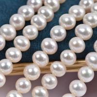 Bulvių išauginti gėlavandenių perlų karoliukai, Gėlo vandens perlų, Ovalus, Pasidaryk pats, baltas, 7-8mm, Parduota už 38 cm Strand