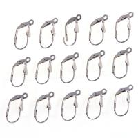 Stainless Steel Lever Back Earring Wires silver color plated Approx 2mm Sold By Bag