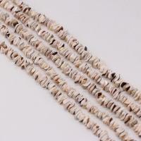 Naturlig Freshwater Shell Perler, Chips, du kan DIY, hvid, Solgt Per 38 cm Strand