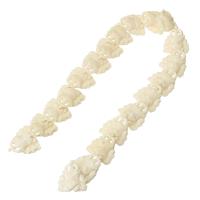 Bue ossa perla, Elefante, bianco, 26x31mm, Appross. 20PC/filo, Venduto per Appross. 24.4 pollice filo