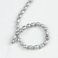Cultured Rice Freshwater Pearl Beads grey 7-8mm Approx 0.8mm Sold Per Approx 14.5 Inch Strand