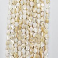 Perles de coquillage jaune naturel, coquille jaune, ovale, poli, DIY, couleurs mélangées, 6x8mm, Vendu par 38 cm brin