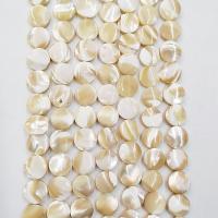 Perles de coquillage jaune naturel, coquille jaune, Plat rond, poli, DIY, beige clair, Vendu par 39 cm brin
