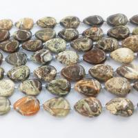 مجوهرات الأحجار الكريمة الخرز, حجر طبيعي, دمعة, مصقول, ديي, الألوان المختلطة, 5x16mm, تباع لكل 39 سم حبلا