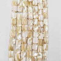 Perles de coquillage jaune naturel, coquille jaune, rectangle, poli, DIY, beige clair, 8x10mm, Vendu par 39 cm brin