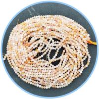 Perline agata naturale Botswana, agata Golpo Persico, Cerchio, lucido, DIY & sfaccettati, colori misti, 3mm, Venduto per 39 cm filo