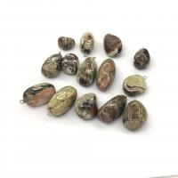 Crazy Agate Pendant with Iron Nuggets polished mixed colors 17-24mm Sold By PC