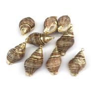 Natural Trumpet Shell Pendants Conch DIY golden yellow  Sold By PC