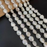 Koraliki Keishi z hodowlanych pereł słodkowodnych, Perła naturalna słodkowodna, Guzik, DIY, biały, 13-14mm, sprzedawane na około 15 cal Strand