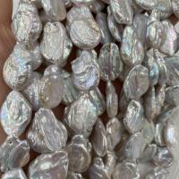 Keishi ferskvandskulturperle Beads, Ferskvandsperle, Nuggets, du kan DIY, hvid, 15x25-18x27mm, Solgt Per Ca. 15 inch Strand