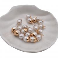 Sladkovodní Pearl Přívěsky, s Zinek, barva pozlacený, módní šperky, bílý, 8x11mm, 5PC/Bag, Prodáno By Bag