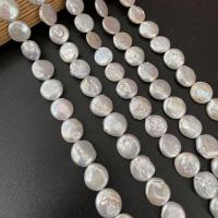 Coin Gekweekte Zoetwater Parel kralen, knopvorm, DIY, wit, 12-13mm, Per verkocht Ca 15 inch Strand