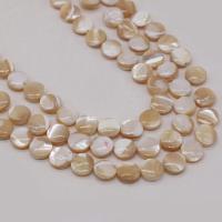 Perles de coquillage jaune naturel, coquille, Rond, DIY, couleurs mélangées, Vendu par 38 cm brin