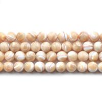 Horseshoe + shell Bead, du kan DIY & forskellig størrelse for valg, Solgt Per Ca. 38-40 cm Strand