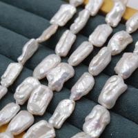 Biwa kultivované sladkovodní perle, Sladkovodní Pearl, Keishi, Barokní styl, bílý, 10-18mm, Prodáno za Cca 16 inch Strand