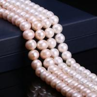 Bulvių išauginti gėlavandenių perlų karoliukai, Gėlo vandens perlų, Bulvė, daugiau spalvų pasirinkimas, 12-13mm, Parduota už Apytiksliai 15 Inch Strand